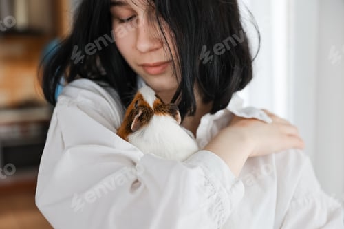 Preview: Cute guinea pig in the girl's arms, child and animal concept