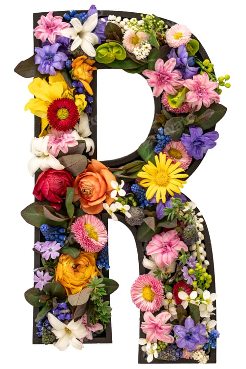 Preview: Letter R made of real natural flowers and leaves on white background isolated.