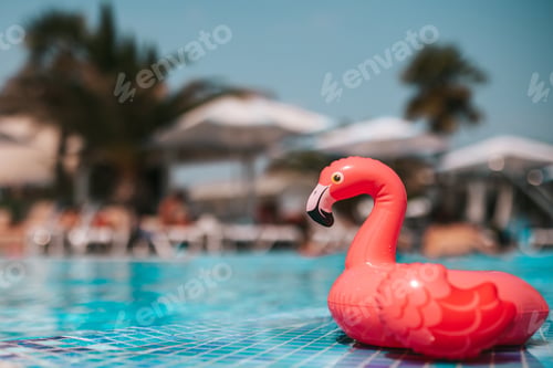 Preview: Mini inflatable toy pink flamingo swimming in pool with turquoise water