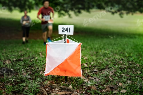 Preview: Orienteering box outdoor in a forest