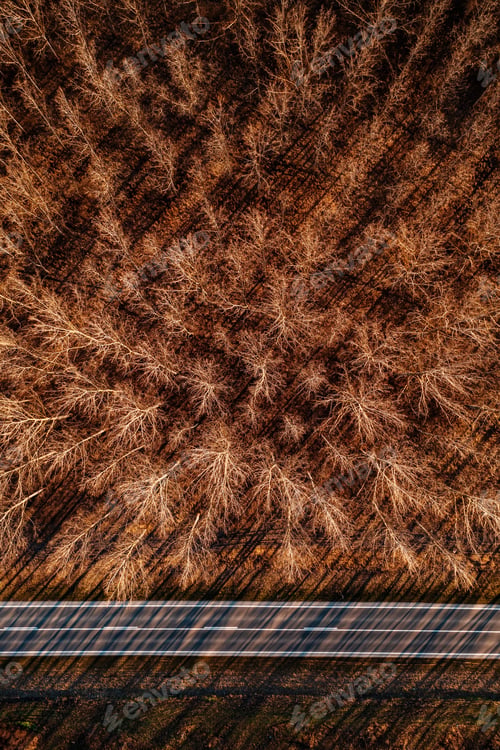 Preview: Aerial shot of empty road and wooded landscape in autumn sunset, top view