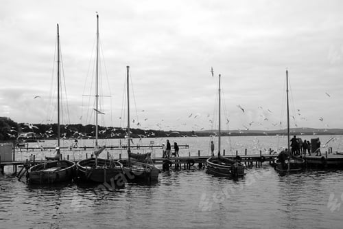 Preview: Black and white shot of boats in harbor