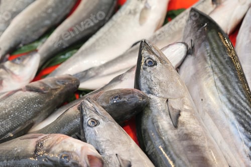 Preview: Fresh Fish Beautifully Displayed on a Market Table for Consumers