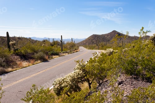 Preview: Empty paved road in Saguaro NP near Tucson AZ US