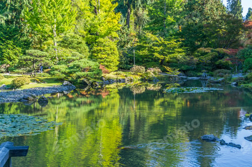 Preview: A View Of A Pond And Foliage At A Seattle Garend In Autumn.