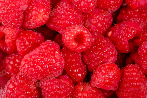 Preview: Close up of red raspberries on white background