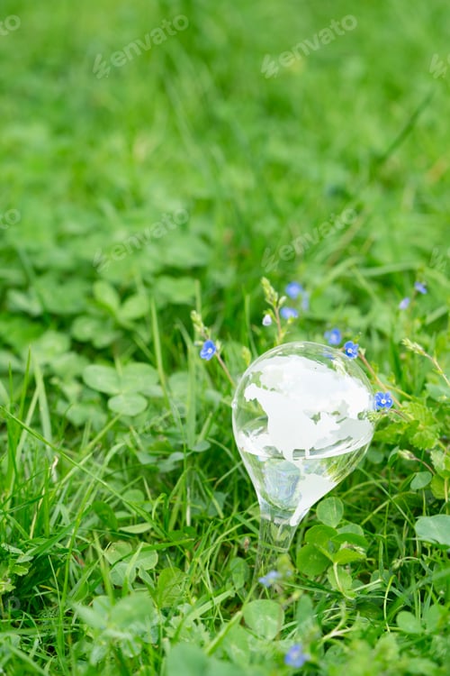 Preview: earth protection and sustainable ecology development
