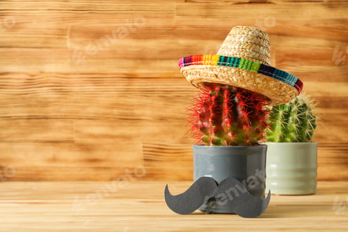 Preview: Composition for Cinco de Mayo concept, space for text