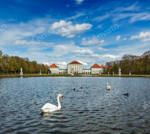 Preview: Swan and Nymphenburg Palace. Munich, Bavaria, Germany
