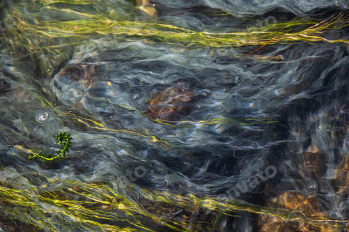 Preview: View of colorful grass in a river of natural Hot Springs at Hot Creek Geological Site