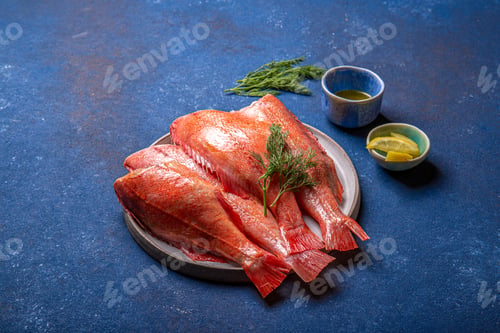 Preview: Fresh red sea bass on blue background.
