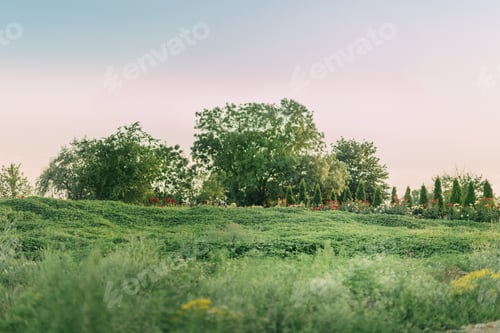 Preview: Landscape, green field, bright sky, sunset