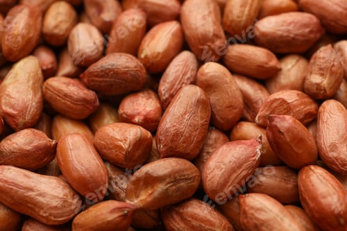 Preview: Tasty peanut on whole background, close up. Vitamin food
