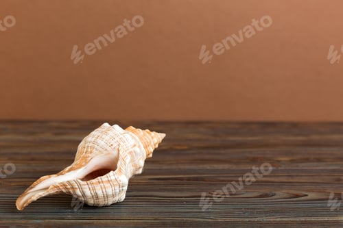 Preview: Summer time concept with sea shells or starfish on a table background with copy space for text