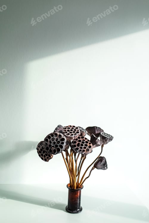 Preview: Flower pot with dried lily on white table background. Minimal style in interior decoration