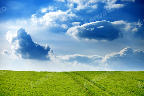 Preview: Green meadow and storm clouds on blue sky majestic landscape