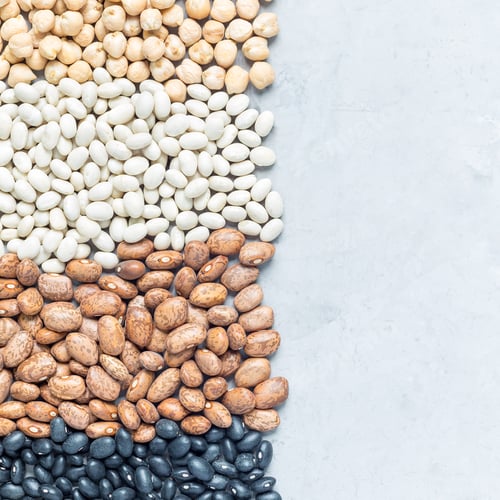 Preview: Different kinds of beans: black, pinto, white and chickpeas, on a concrete background, square
