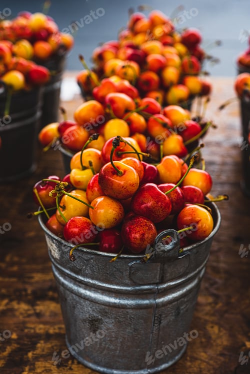 Preview: small metal buckets of ripe red and yellow Rainier cherries in rows at local farmers market