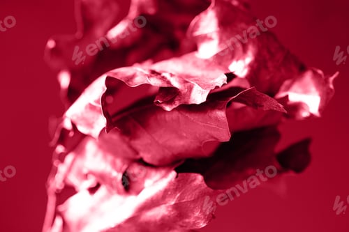 Preview: Red Toned Leaves Abstract Background Moody Backdrop
