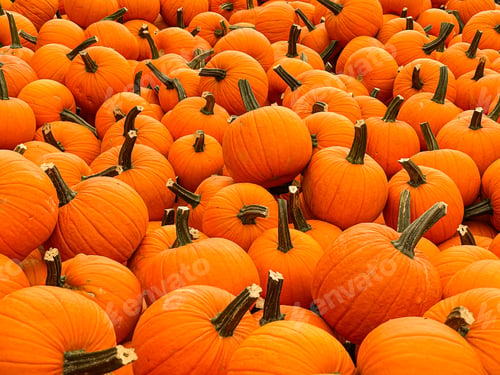 Preview: Pumpkins
