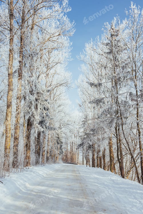 Preview: the winter road. Dramatic scene. Carpathian, Ukraine, Europe.