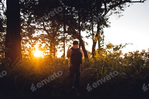 Preview: In the forest at dusk and evening light