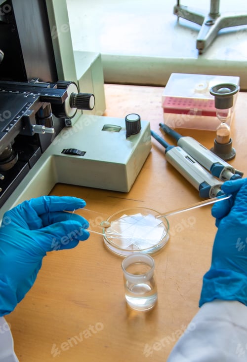 Preview: Examine in the laboratory under a microscope. Selective focus.