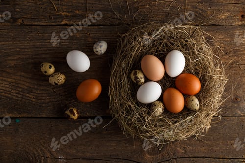 Preview: Fresh chicken and quail eggs in a nest on a wooden background