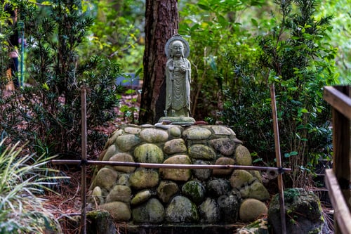 Preview: Serene Buddha statue in a forest setting