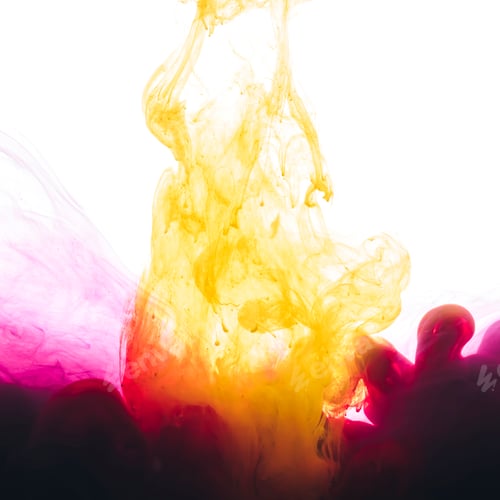 Preview: close-up view of pink and yellow paint splashes isolated on white