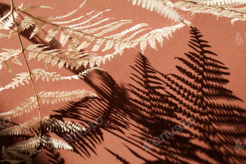 Preview: Floral composition of dyed branch fern on drown background with deep shadow. Botany styled.