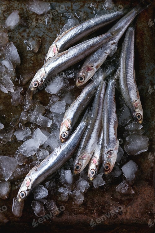 Preview: Raw fresh anchovies fishes