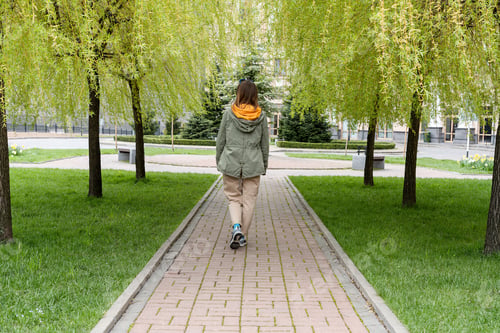 Preview: Rear view young woman tourist with backpack walking along alley of weeping willow , spring foliage