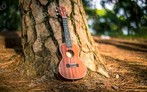 Preview: Guitar