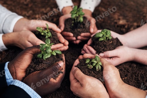 Preview: Cropped shot of a group of businesspeople holding plants growing out of soil