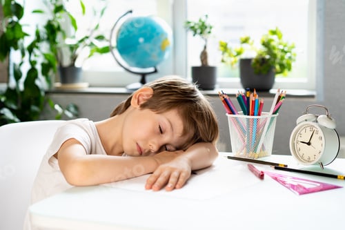 Vista previa: The boy is studying at home, fatigue, stress from school, home schooling, doing homework
