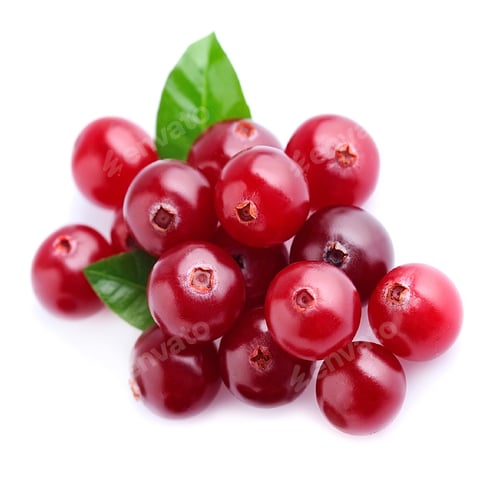 Preview: Cranberries with leaves