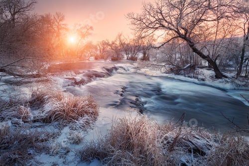 Preview: Christmas background with snowy forest. Winter landscape