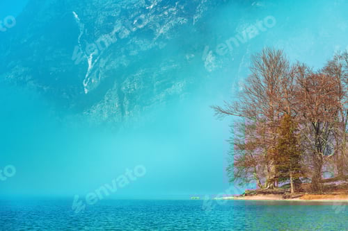 Preview: Fog wrapping around trees at lake Bohinj shore in cold february morning
