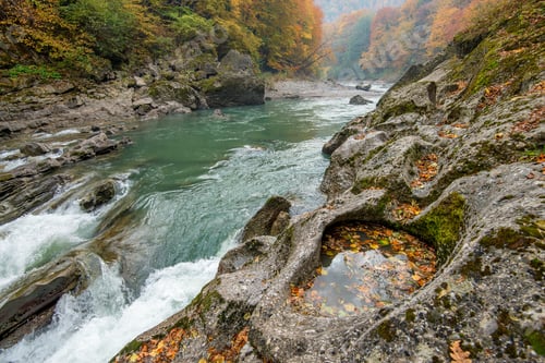 Preview: Landscape with mountain river and forest
