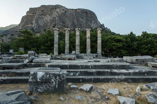 Preview: Columns of Priene