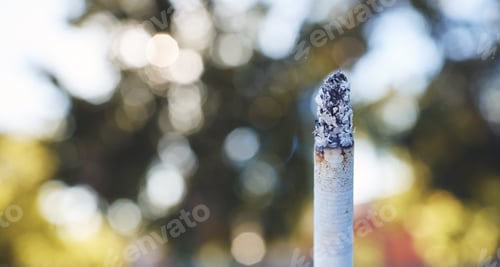 Preview: Closeup of a burning cigarette with an ashy tip against a blurred background outside. Tobacco is an