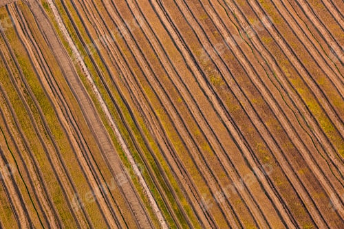 Preview: Aerial view of striped fields