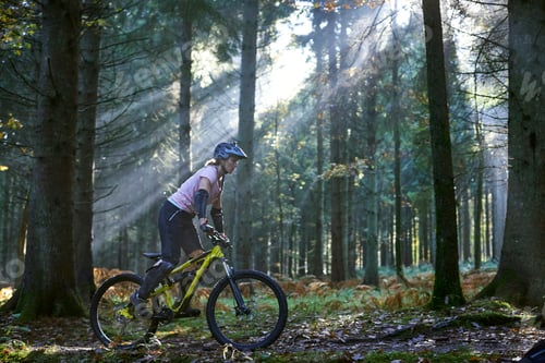 Preview: Female mountain biker cycling in sunbeam lit Forest of Dean, Bristol, UK