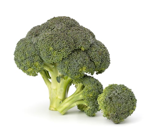 Preview: Broccoli vegetable