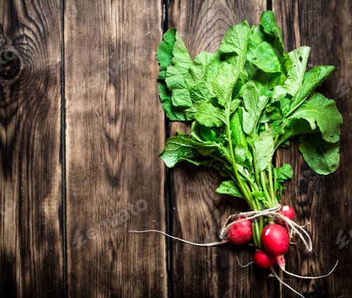 Preview: Organic food. Bunch of fresh radishes.