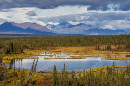 Preview: Autumn in polar tundra