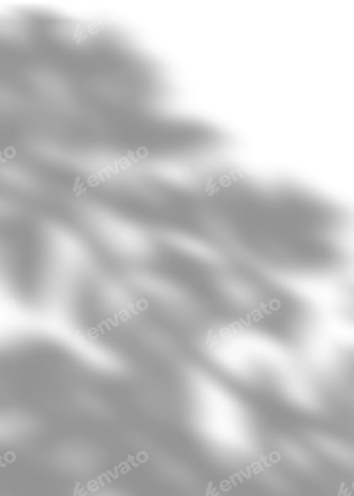Preview: Silhouette Leaves Shadow on white background, Illustration of Shadow leaf overlay on Wall