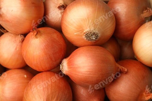 Preview: Many ripe onion bulbs as background, closeup