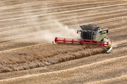 Preview: Harvest time - Combine Harvester